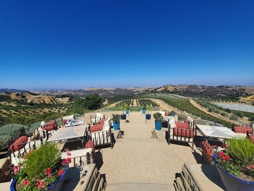 DAOU Family Estates - Thumbnail