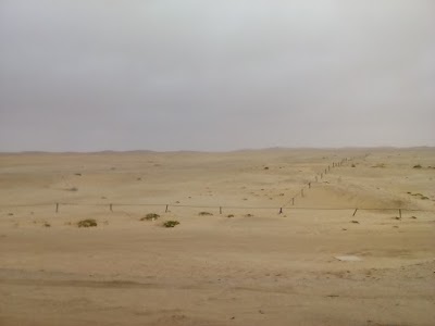 Photos of Town Square Mall
