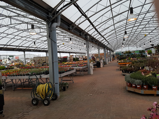 Dobbies Garden Centre Kings Lynn - Thumbnail