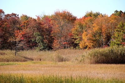 Osamequin Nature Trails and Bird Sanctuary