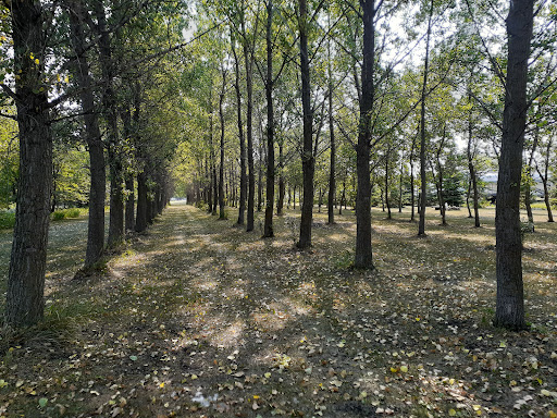 Northwest Acres - Thumbnail