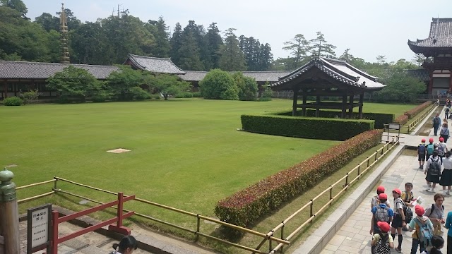 Nara Park