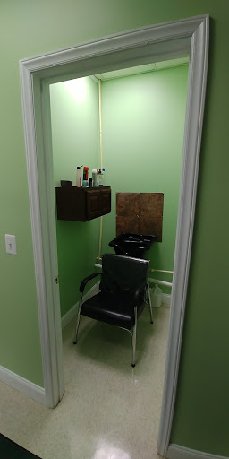 Naturalistic Salon and Hair Boutique - Natural Hair - Thumbnail