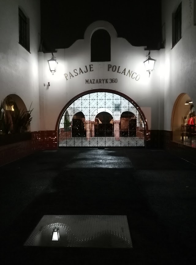PASAJE POLANCO MASARYK 360