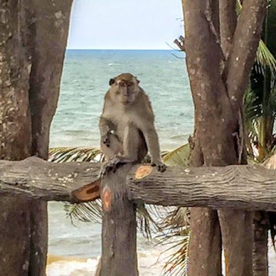 Photos of Berakas Forest Reserve Recreational Park