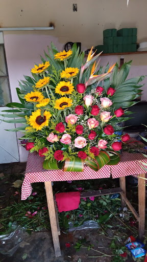 Mariachi Real Ocotlán