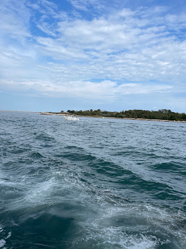 Pellestrina Caroman - Thumbnail