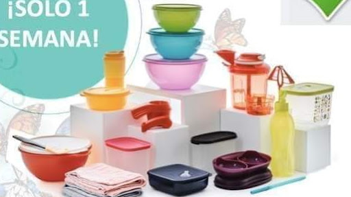 milena villarreal tupperware
