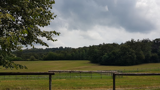 The Lime Tree Farm - Thumbnail