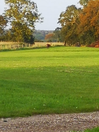 Weavers Meadow Camping - Thumbnail