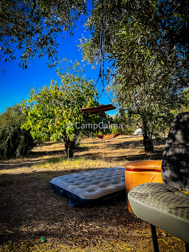 Camp Calma - Visual