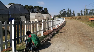 Photos of Holeta Agricultural Research Center of EIAR