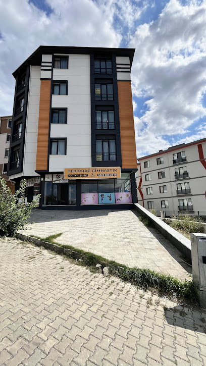 Tekirdağ Cimnastik 100.Yıl