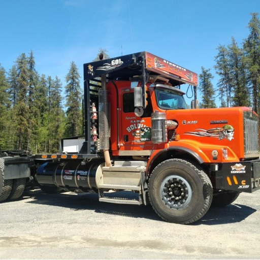 Électrocamion - Thumbnail