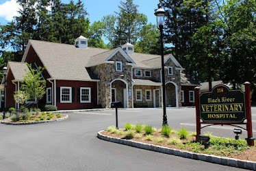 Black River Veterinary Hospital
