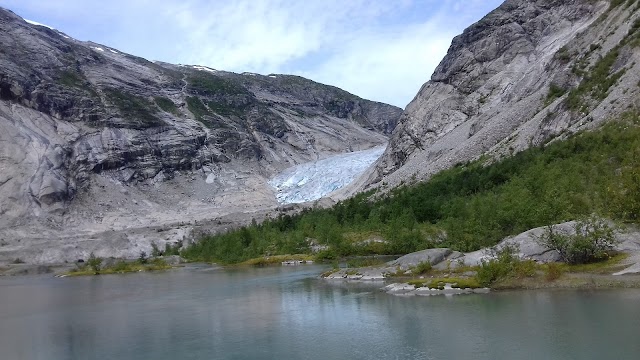 Nigardsbreen