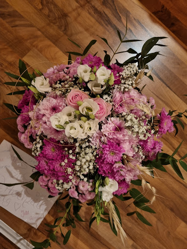 Jumbo's Blumenwelt Gallery - Germany