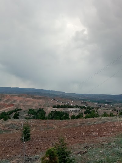 Photos of Karaahmetli Belediyesi