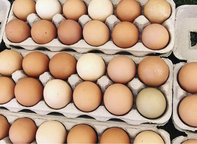 La Mesa Village Farmers Market by null