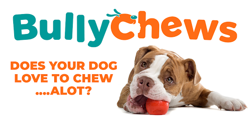 BULLYCHEWS.INC - Visual