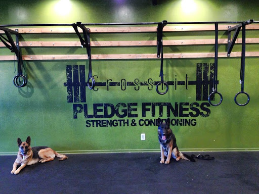 Pledge Fitness - Thumbnail