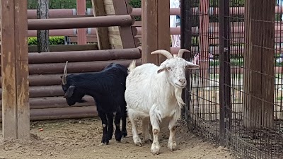 Photos of Uchi Park Zoo
