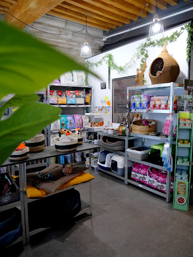 Photo 3 - Les Pattes de Velours