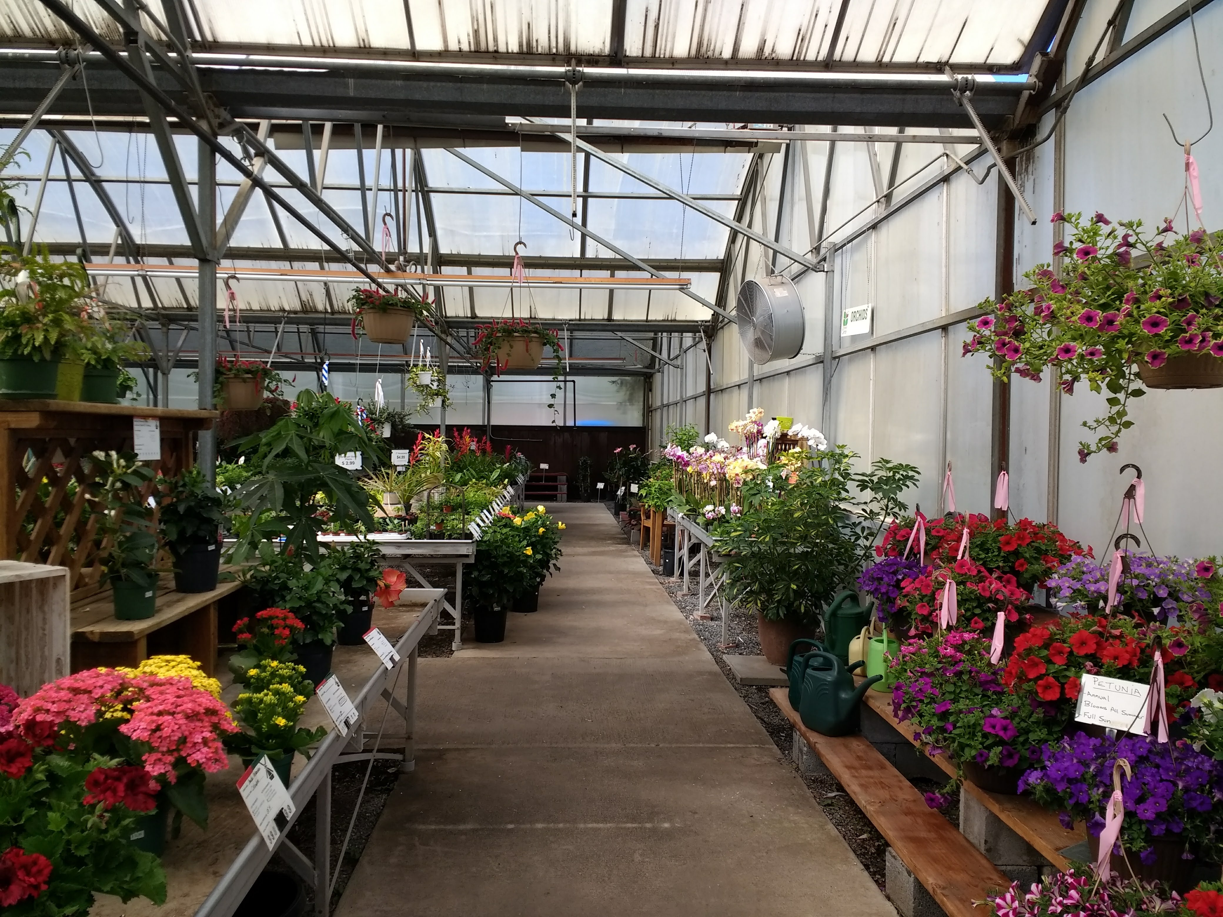 Dutch Plant Farm