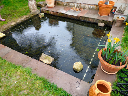 Pond Safety Ltd - Thumbnail