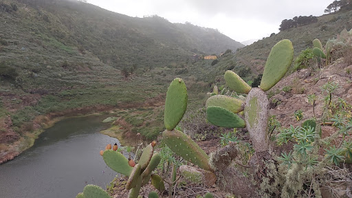 Embalse de Agulo - Thumbnail