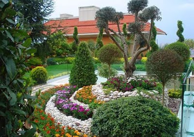 Photos of ataşehir peysaj fidanlığı