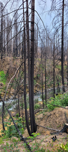 Fern Falls - Visual