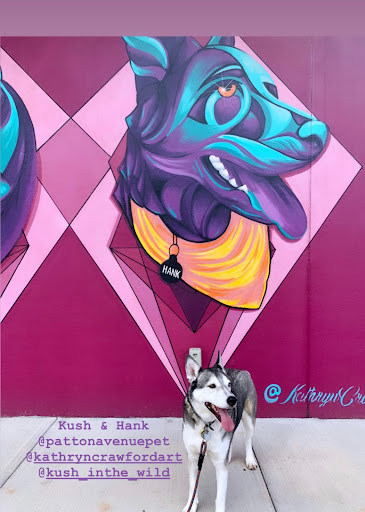 Patton Avenue Pet Company- West - Thumbnail