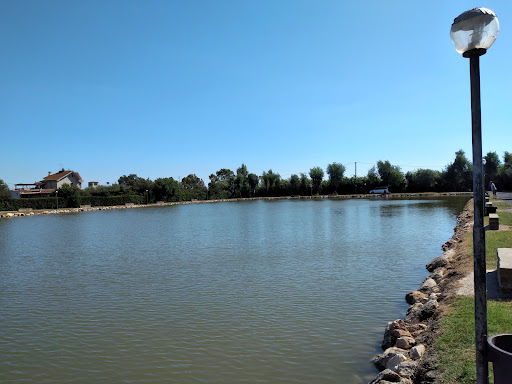 Lago Torre Flavia - Thumbnail