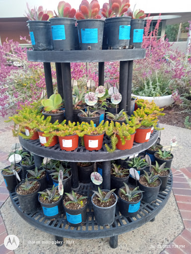 Cuyamaca College Nursery - Thumbnail