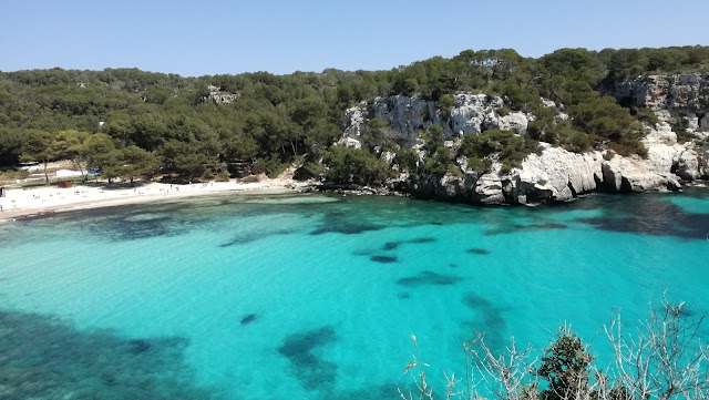 Cala macarelleta