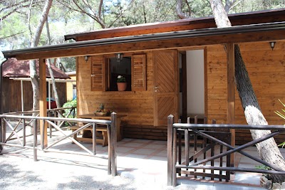 Photos of Camping Pineta