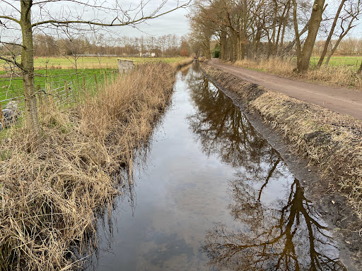 Goois Natuurreservaat Bosje van Six - Thumbnail