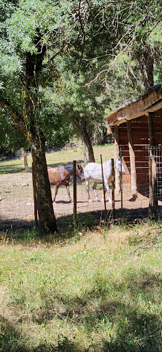 caballosdelpirineo y Villanovilla casa rrursl Gallery - Spain