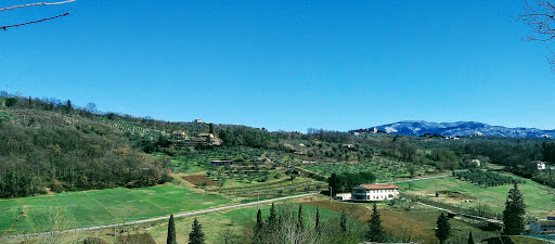 Cooperative Oil Mill Montalbano Soc. Coop. A R.L. - Thumbnail