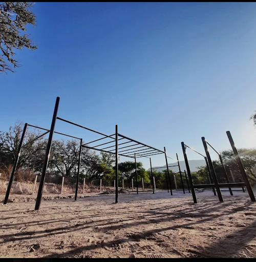 Scorpion Calisthenics