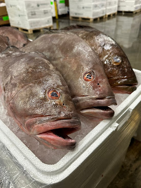 Congressional Seafood - Wholesale Seafood Supplier by null