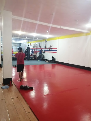Torrestra Gym - Thumbnail