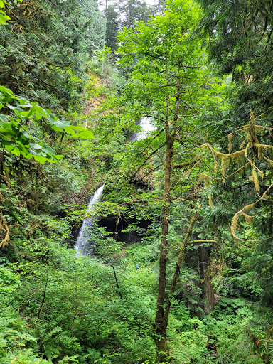 Upper Latourell Falls - Visual