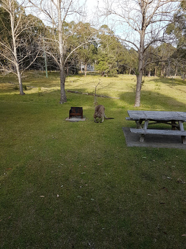 Berringer Lake Holiday Cottages - Thumbnail