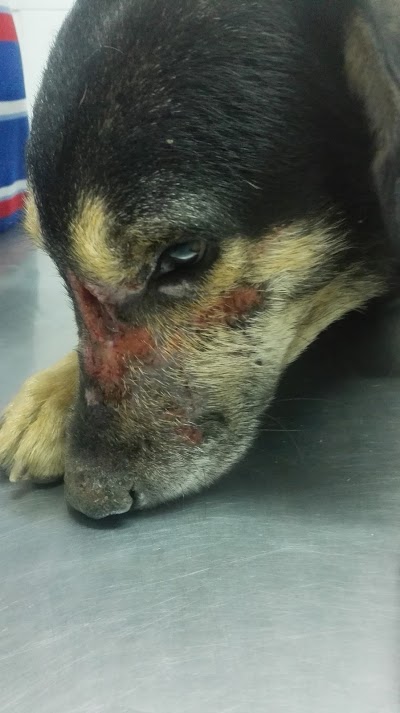 Photos of Emergencias Veterinarias Del Tolima