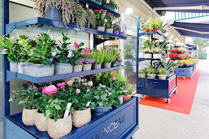 Photo n°4 de Monceau Fleurs à La Baule-Escoublac (Boutique de cadeaux)
