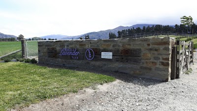 Photos of Wanaka Lavender Farm