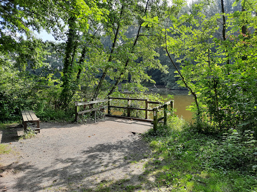 Départemental des Hautois Woods