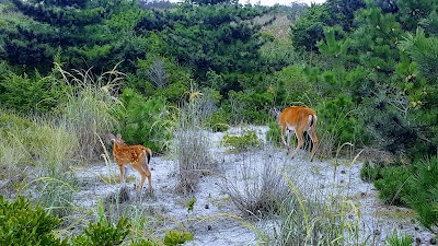 Photos of انبارک